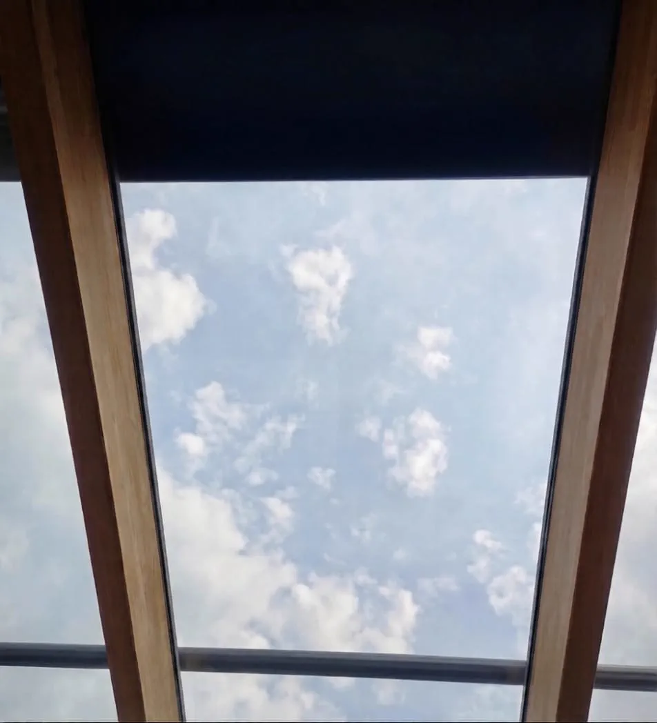 Dasselbe Glasdach nach der Reinigung - streifenfrei klarer Blick in den Himmel